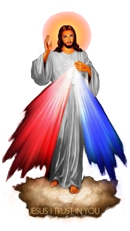 Divine Mercy Image - Jesus I Trust In You. Click Image to fully venerate by saying the Apostles' Creed.